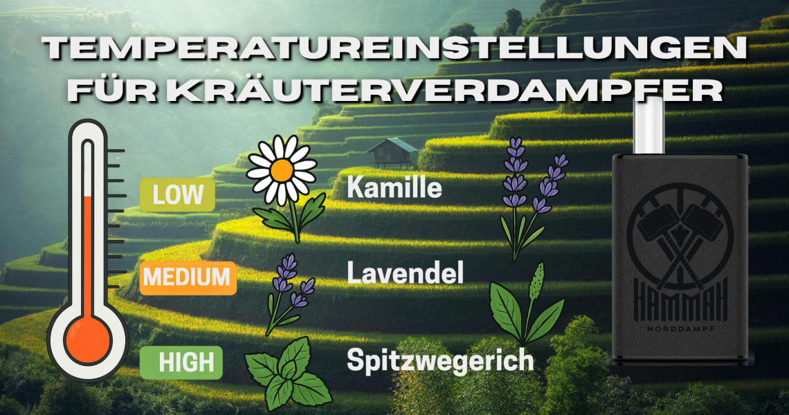 Vaporizer Temperatur Guide - Leitfaden für Kräuter verdampfer zeigt optimale Einstellungen: Kamille vaping bei niedriger, Lavendel bei mittlerer und Spitzwegerich bei hoher Temperatur.