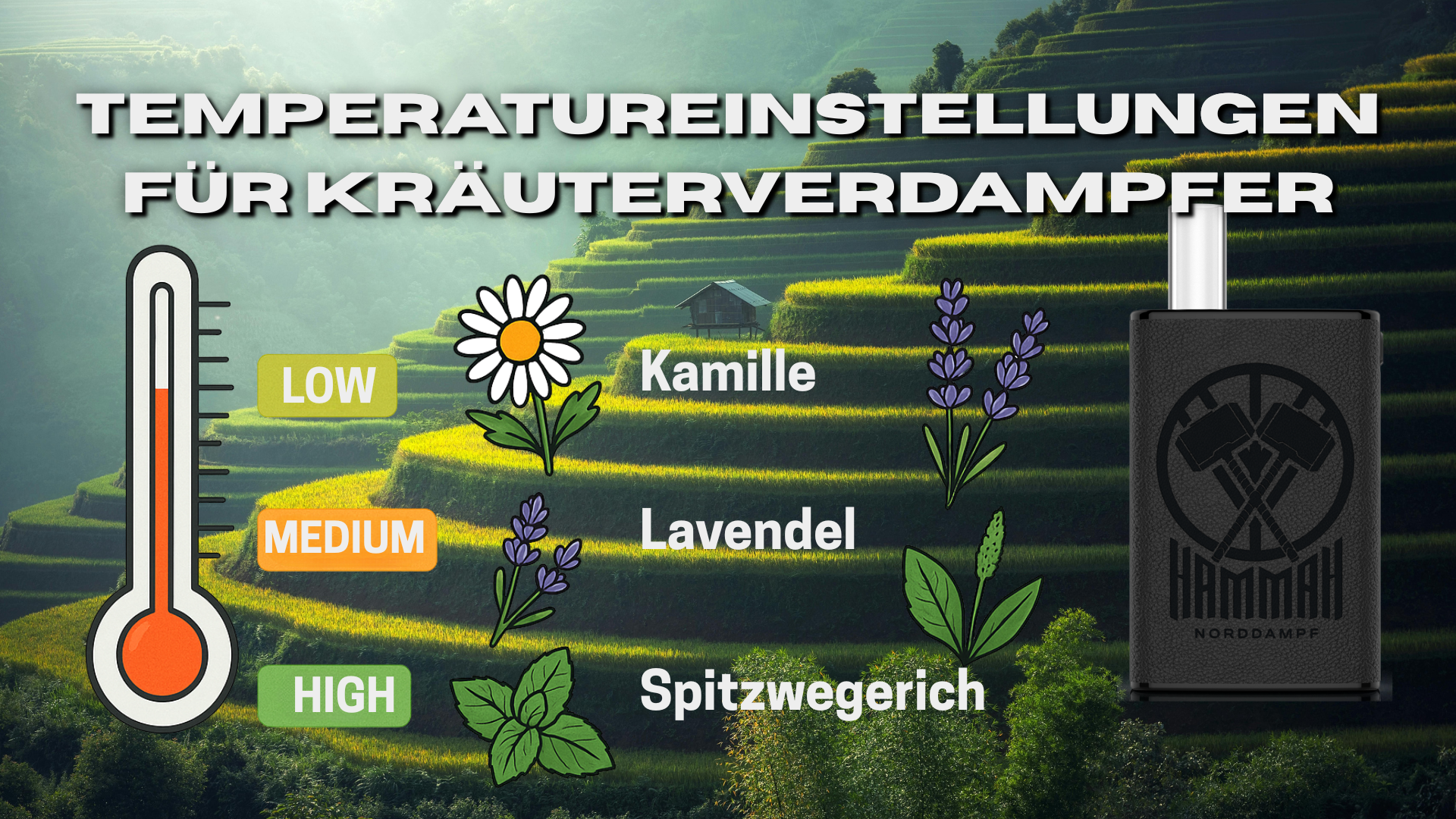 Vaporizer Temperatur Guide - Leitfaden für Kräuter verdampfer zeigt optimale Einstellungen: Kamille vaping bei niedriger, Lavendel bei mittlerer und Spitzwegerich bei hoher Temperatur.