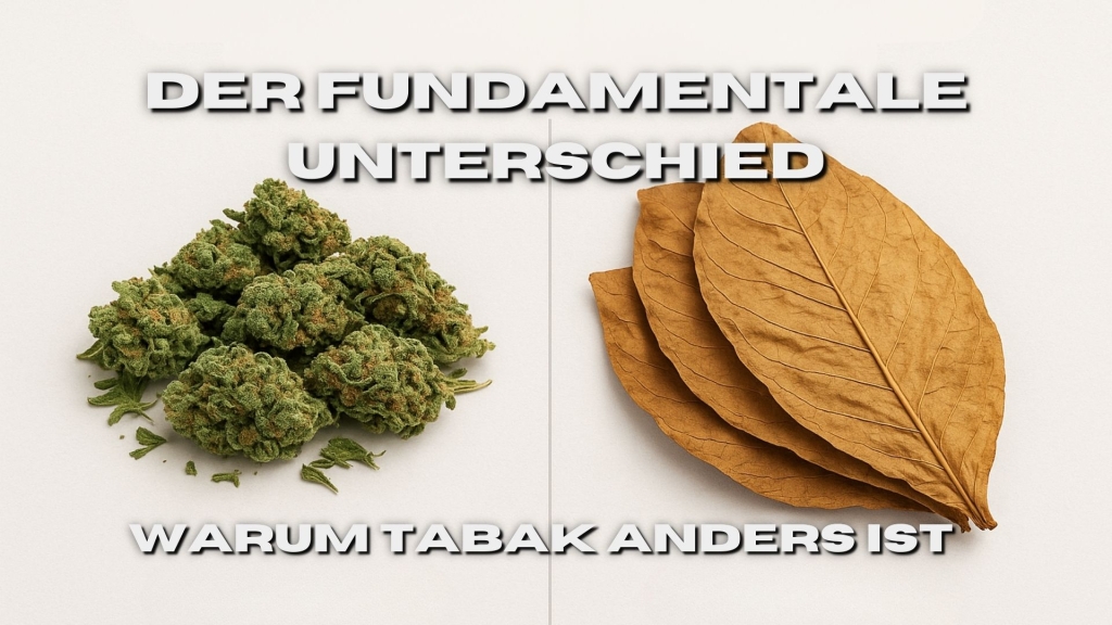 Gegenüberstellung von grünen Cannabisblüten links und braunen Tabakblättern rechts auf hellem Hintergrund.