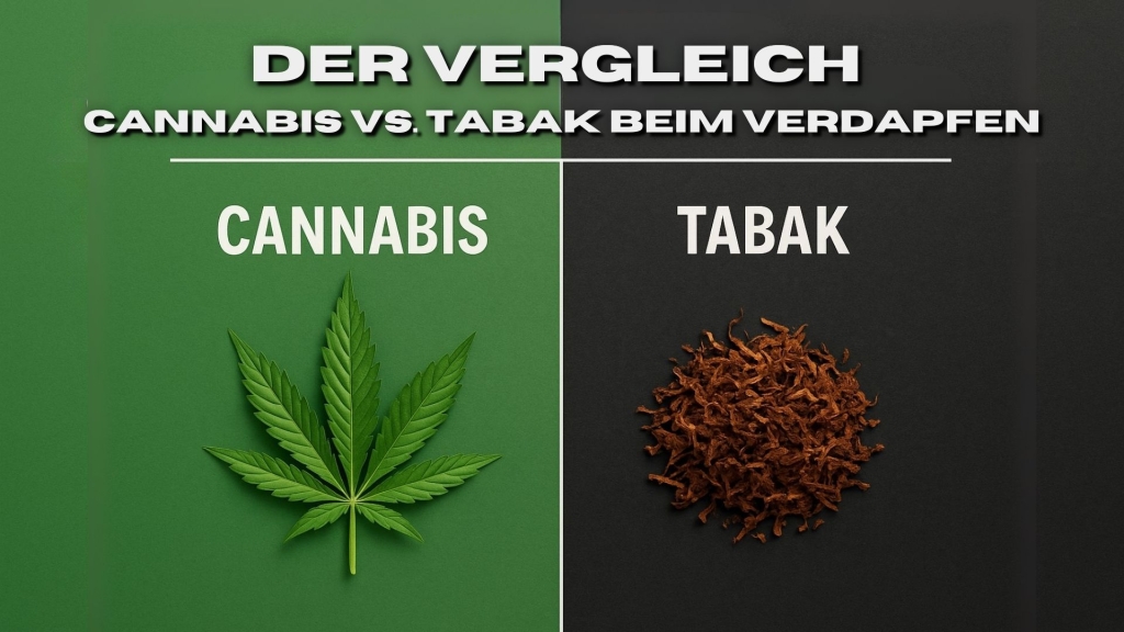 Gegenüberstellung von Cannabisblatt auf grünem Hintergrund und Tabak auf schwarzem Hintergrund.